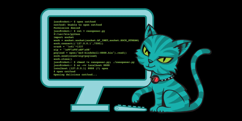 Cat near the computer